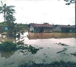 Banjir Landa Kabupaten Mimika, 495 Keluarga Terdampak
